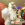 picture of Bradgate Brides stand Leicester 